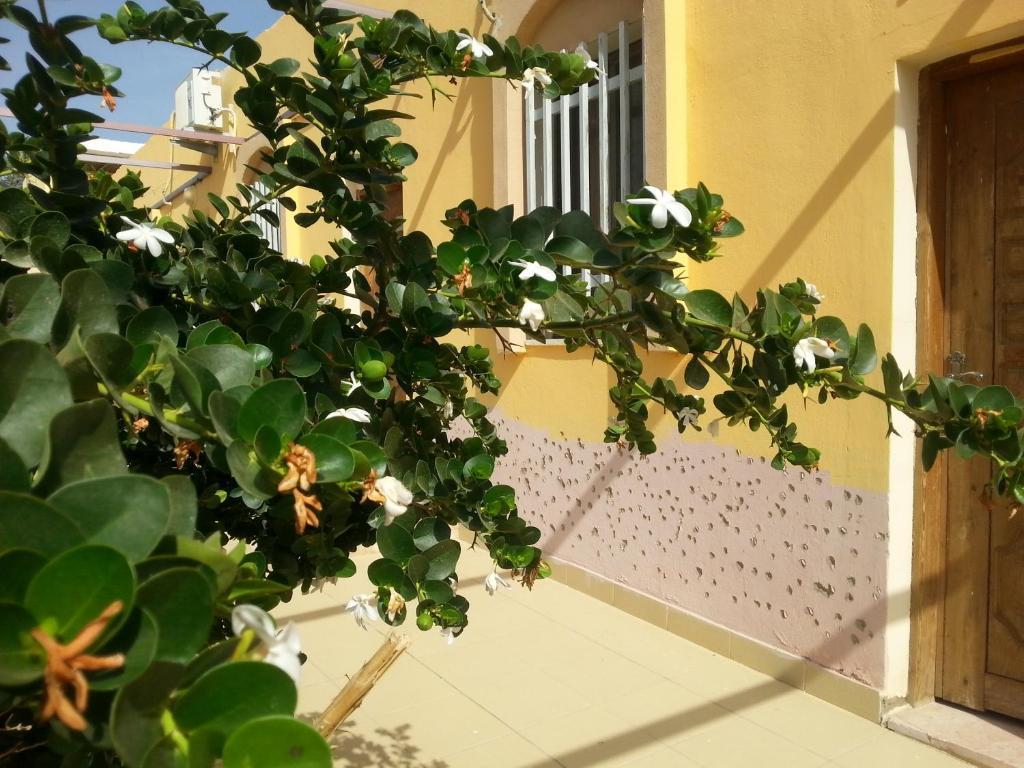 Darna Village Beach Hostel Al Burj Kültér fotó