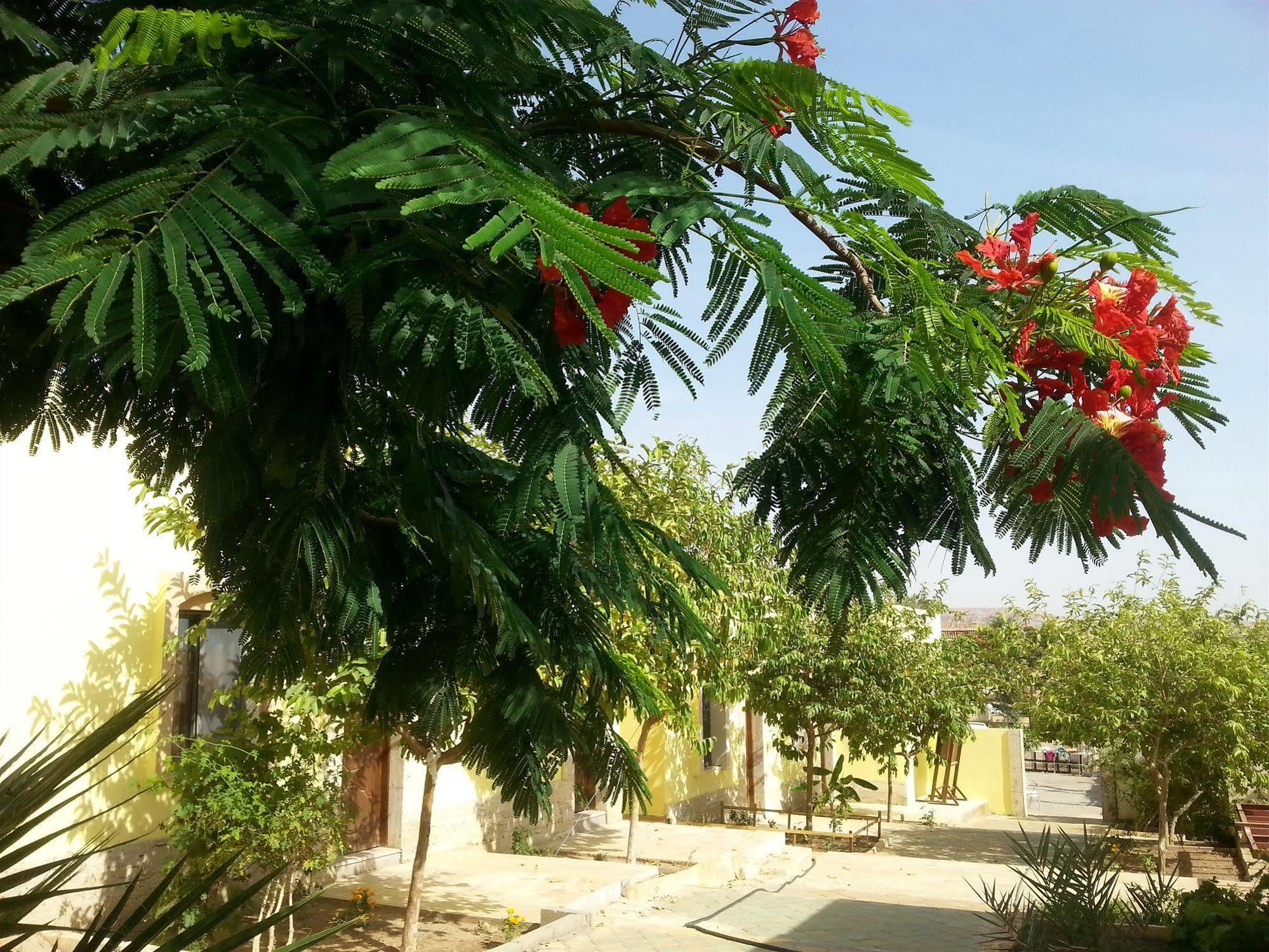 Darna Village Beach Hostel Al Burj Kültér fotó